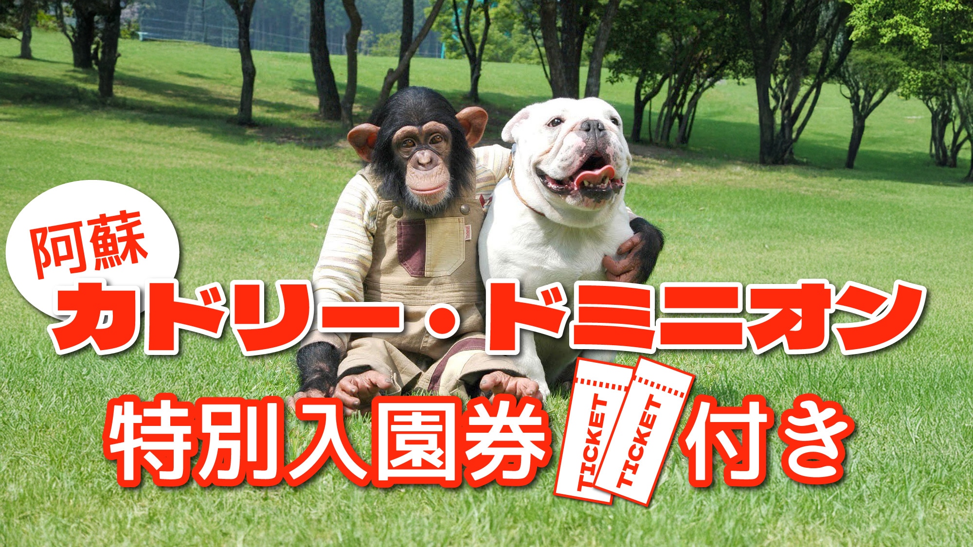 A great value accommodation plan that includes a special admission voucher for Cuddly Dominion