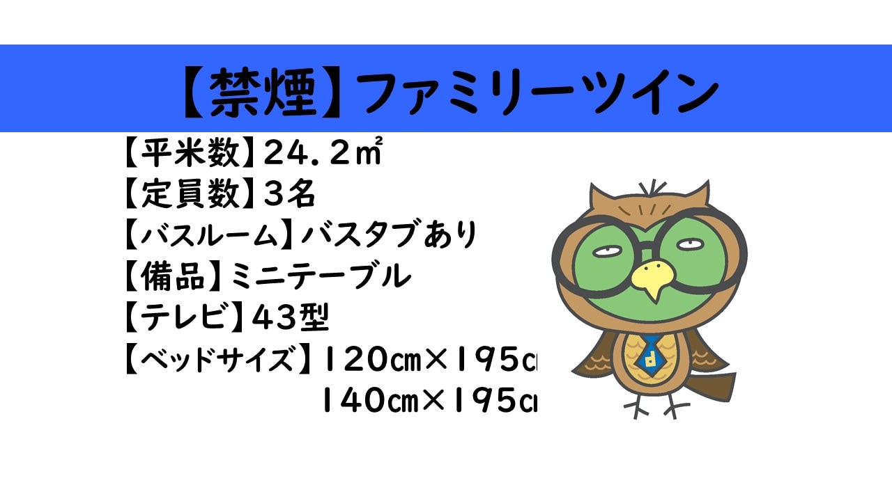 Family Twin Room Overview