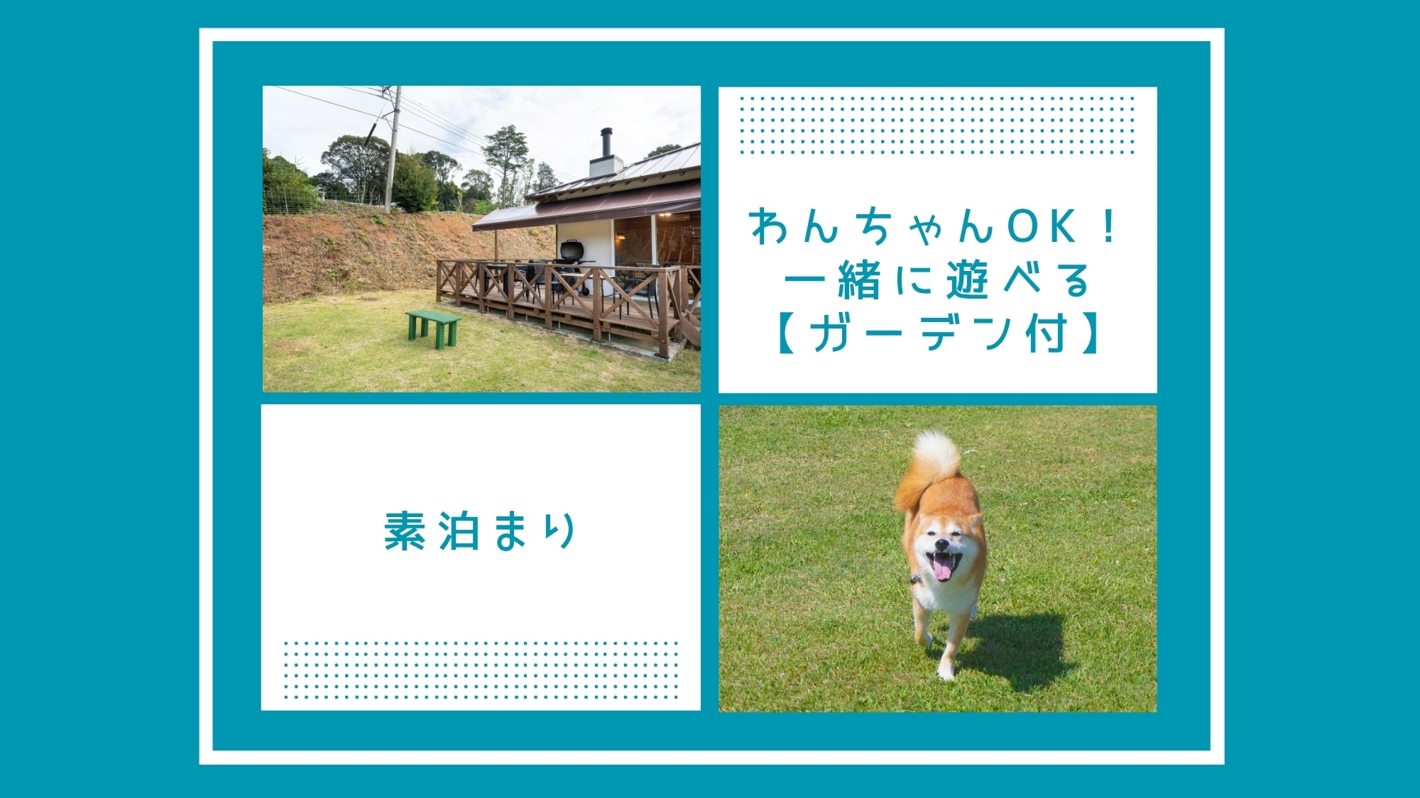 <Garden available> [Dog-friendly accommodation only: Room only] Natural hot springs available! Play in the grassy dog run