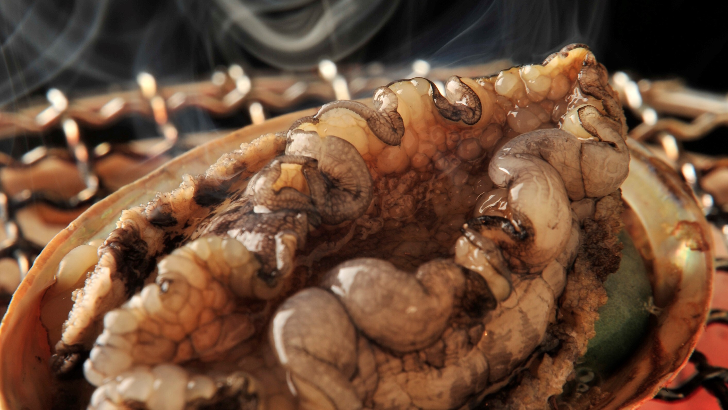 We accept abalone dance grilled with plans and bespoke dishes.