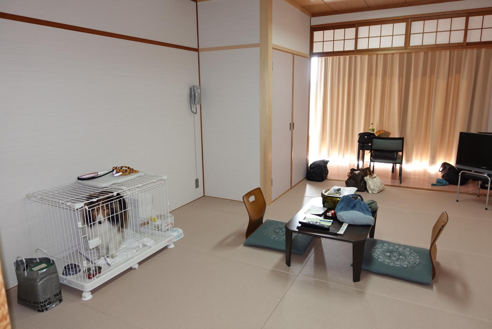DSC06864.jpeg