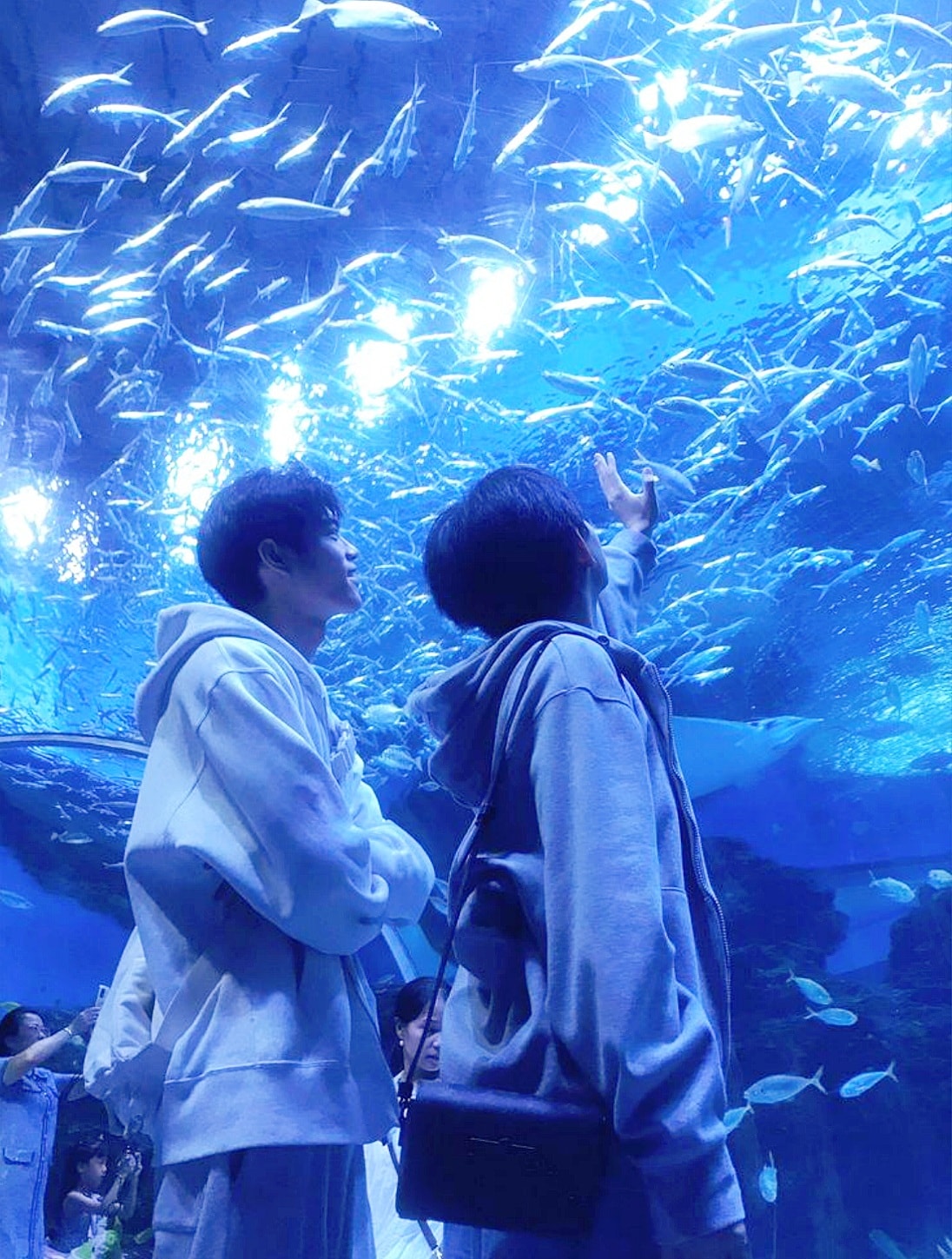 水族館和男孩