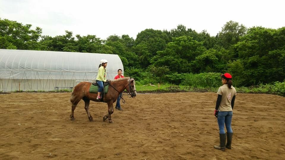Horse riding experience