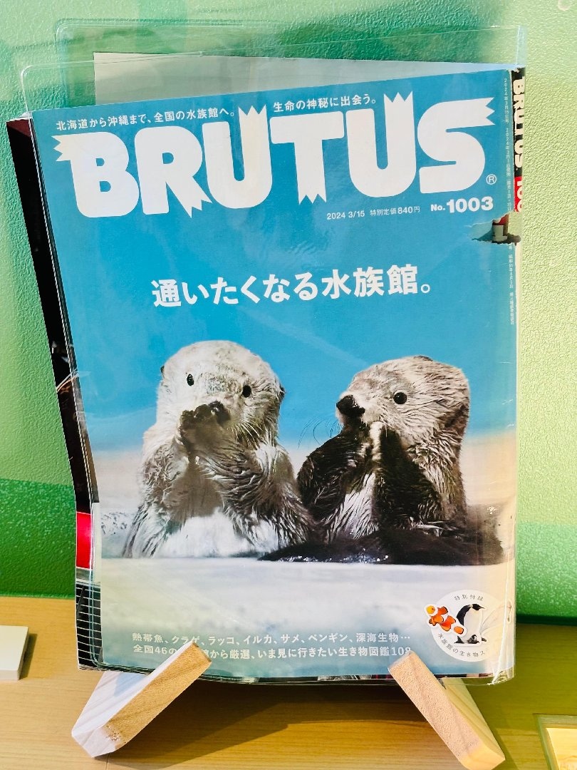 85D30E7F-4F9E-4281-9E2C-6871C0CDC85C.jpeg