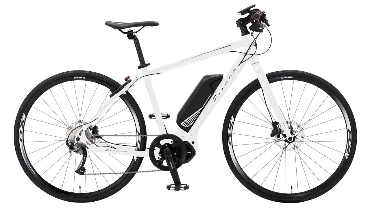 eBike (Electric Assisted Bicycle)
