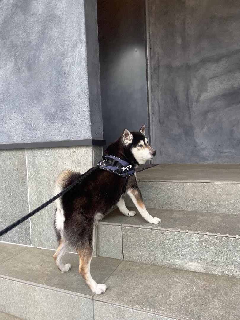 30BC8445-4FD8-47C0-A9DF-54E58596E38A.jpeg