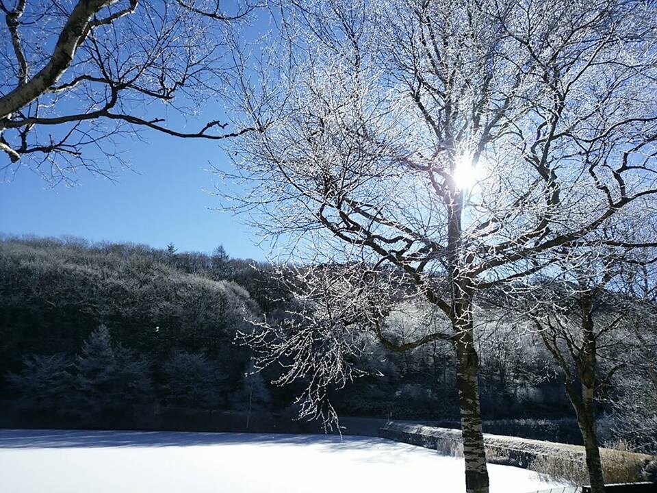 Lake Shirakaba in winter