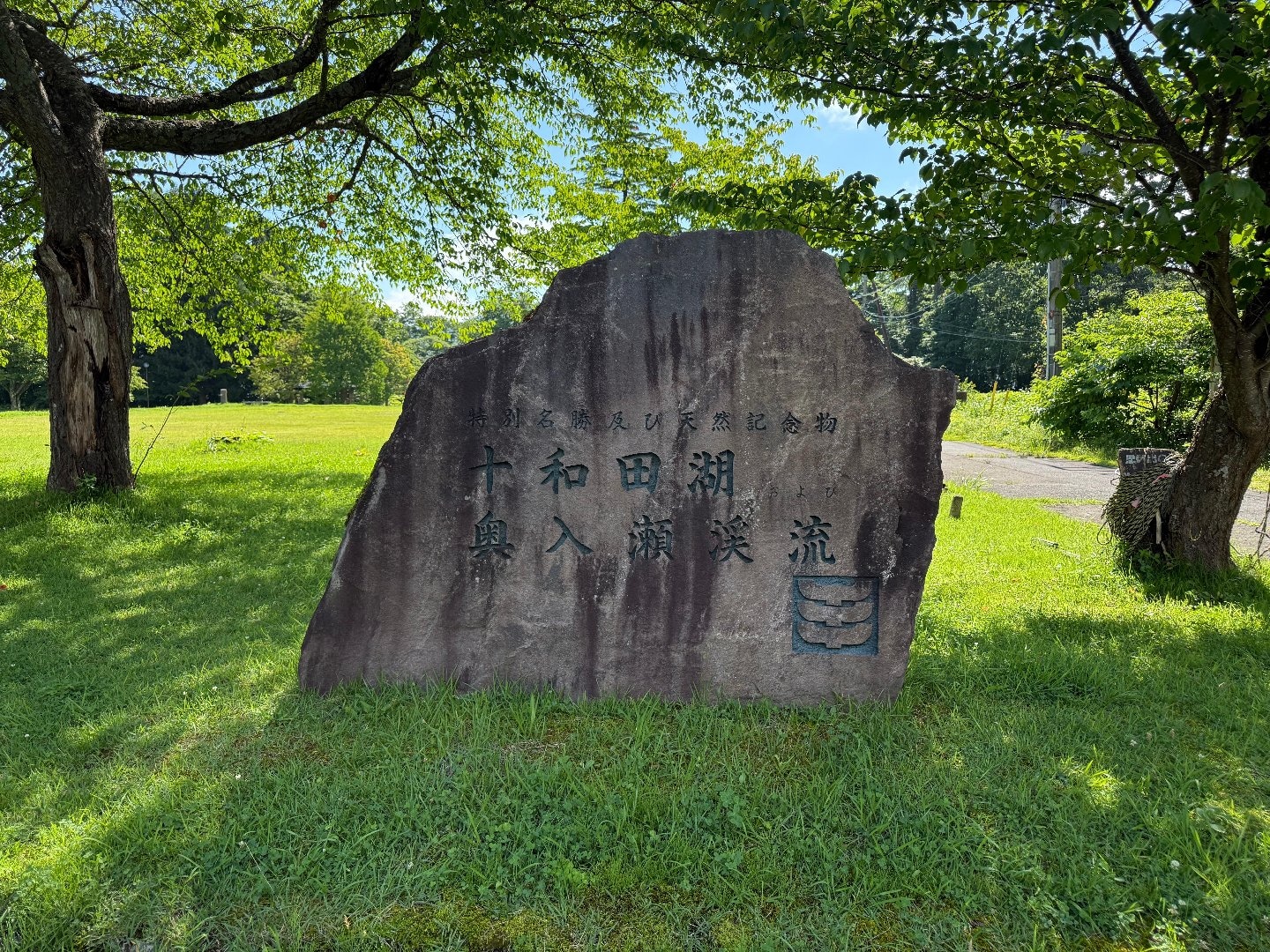 D8198B2B-A99B-439D-9909-EDAC1F9AB255.jpeg