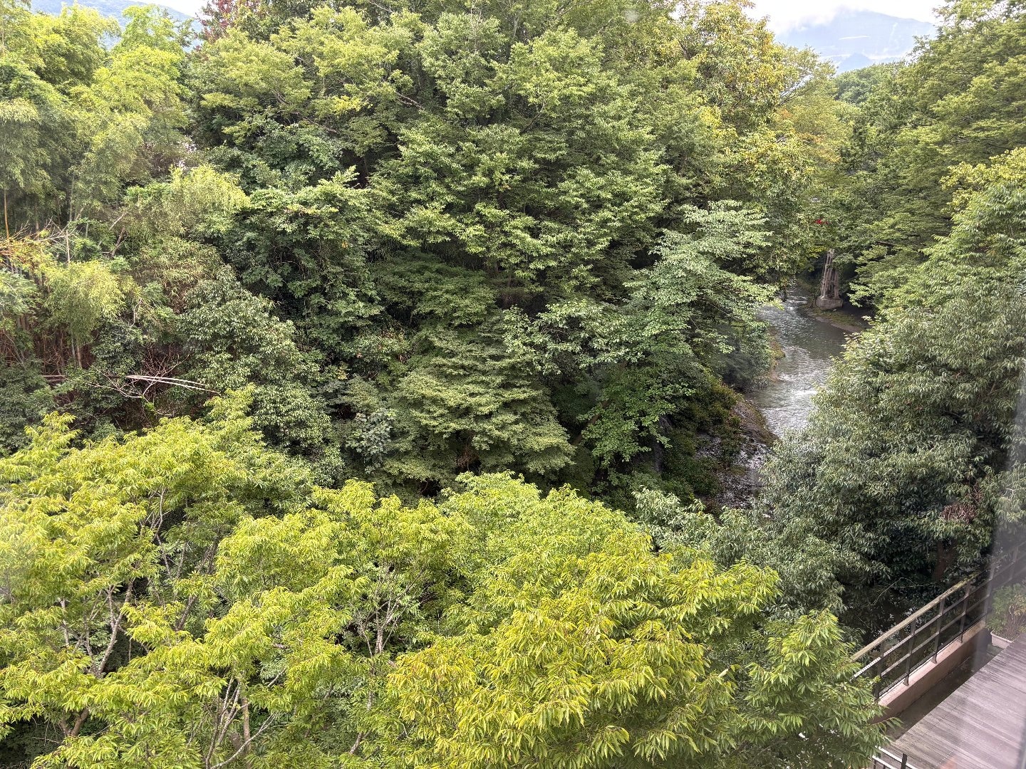 A0B37525-0FF1-4BC2-BD49-692EFA7C8502.jpeg