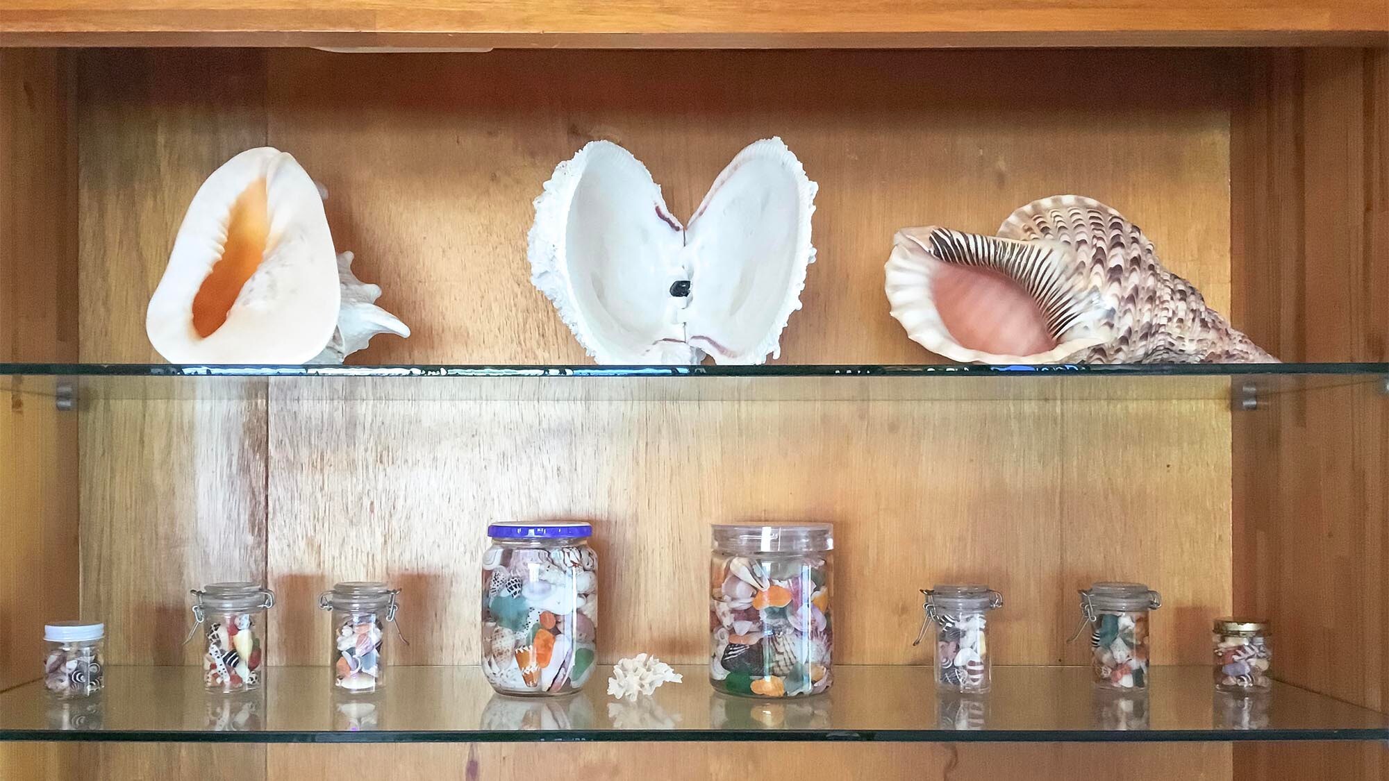 ・ [Deluxe Room] Seashell decoration that the owner is particular about
