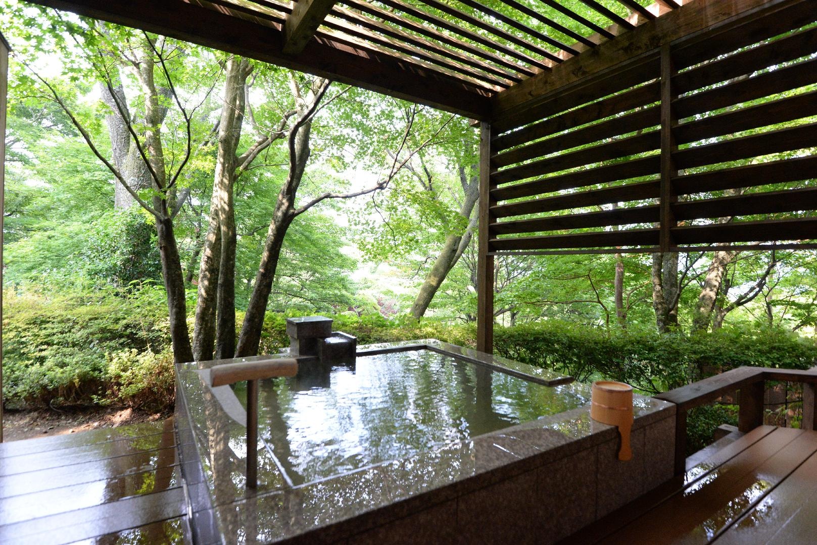 "Incense" "Man" Japanese-style room 12 tatami mats + Western-style room + garden deck (70㎡)
