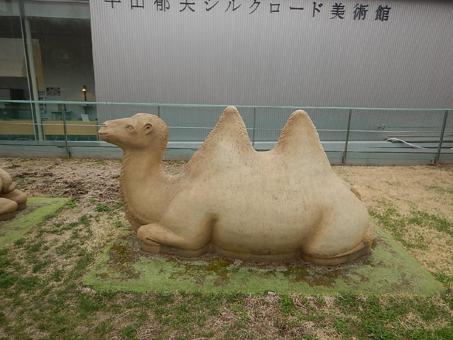 DSCN1050.JPG