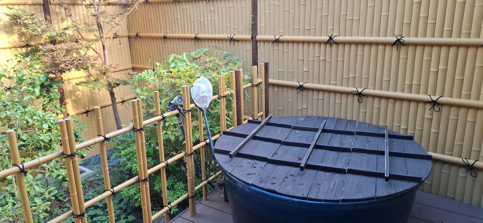 1000006037.jpg