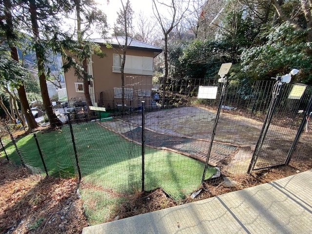 dog run3