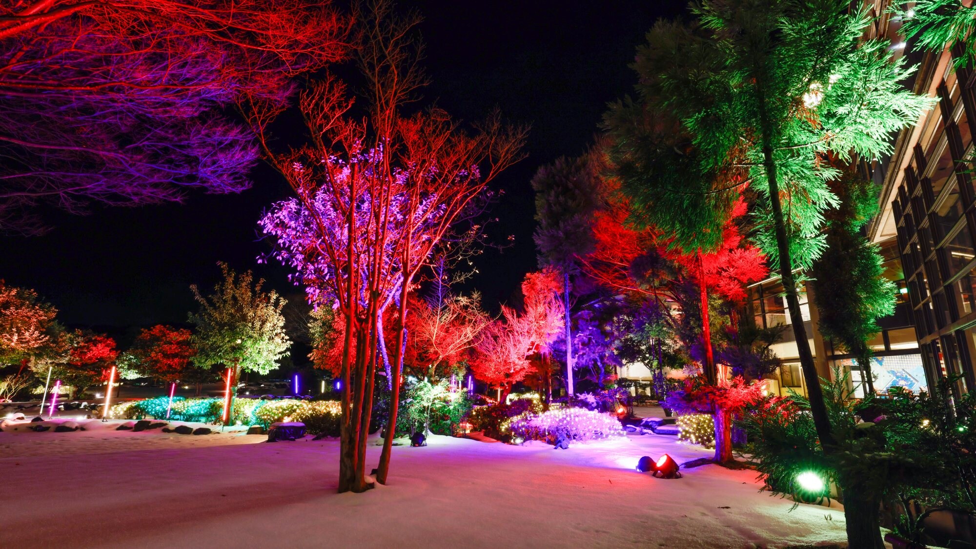 Japanese Garden Illumination