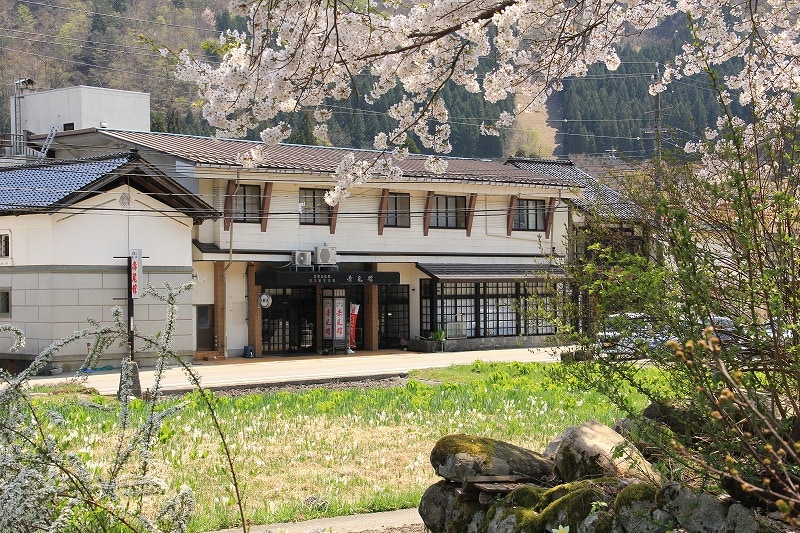 Sakura and Akaokan
