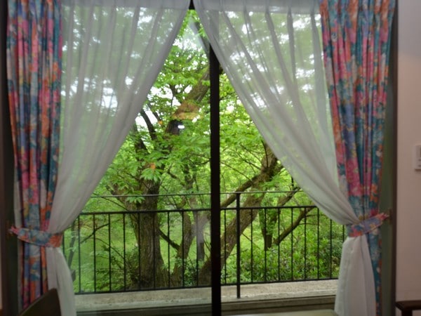 Beautiful view from the room window