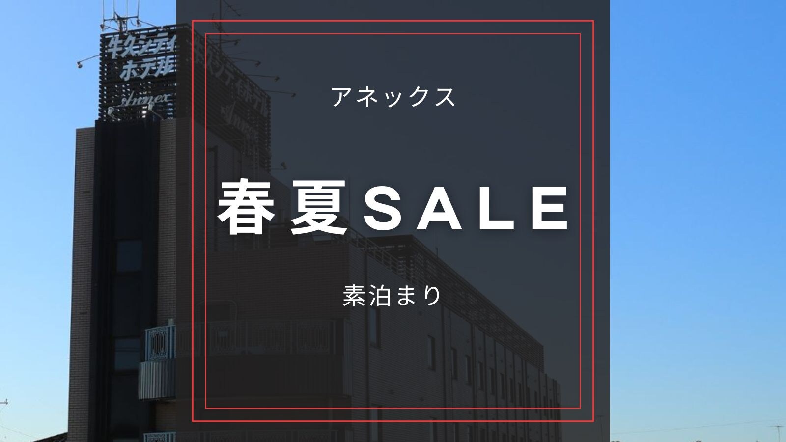 [5% OFF] [Spring/Summer SALE] ☆ Annex [Standard/Room only]