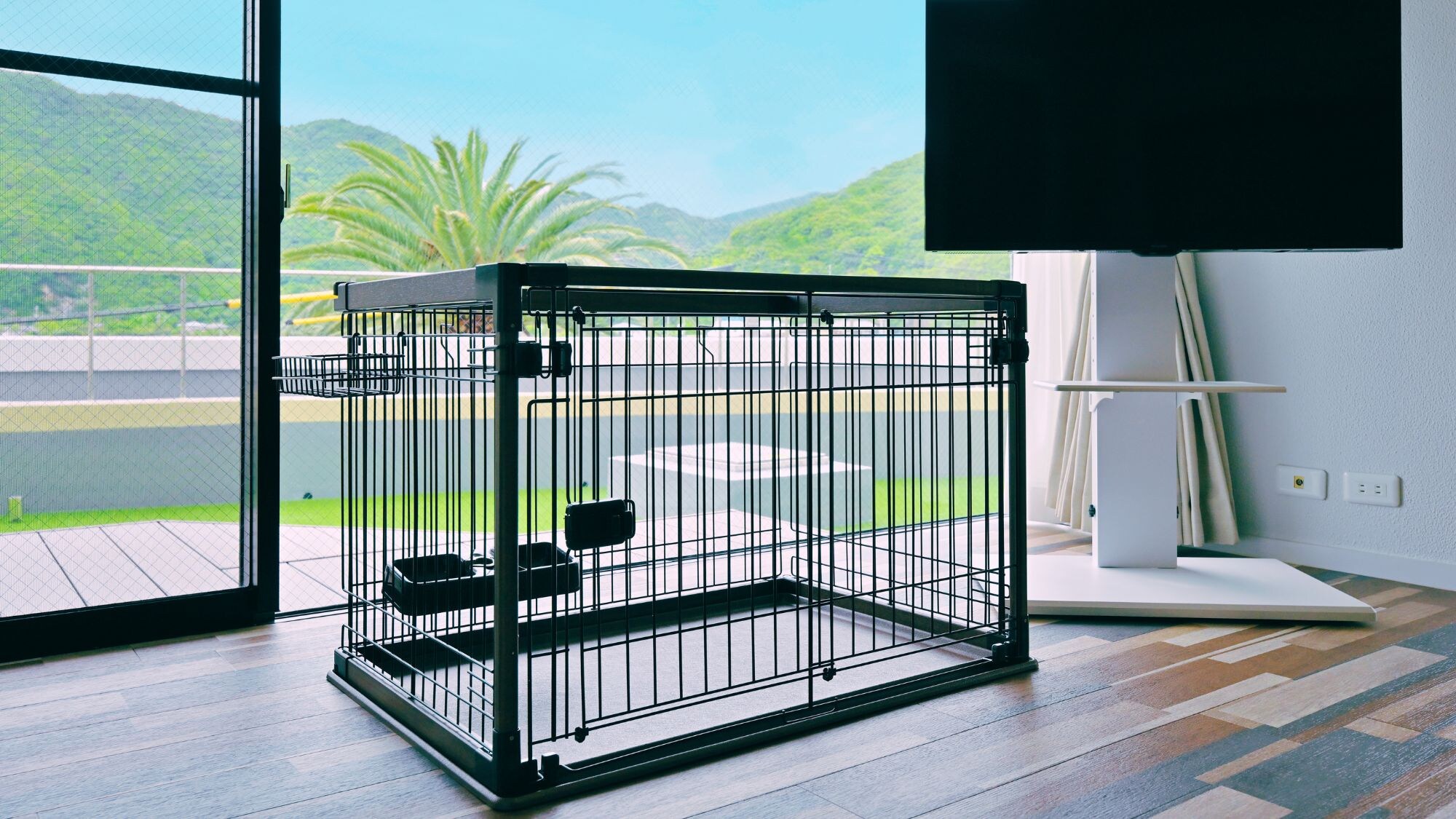 [Guest room example] Dog-friendly room (201) Capacity: 2 people / Maximum of 2 dogs (2 medium-sized dogs, 1 large dog)