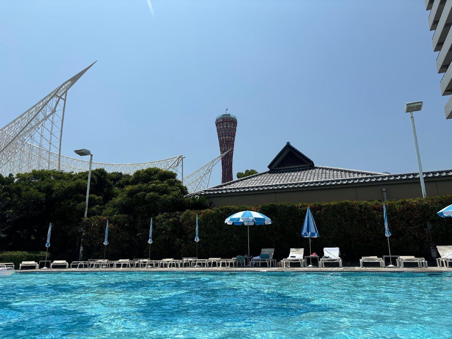 IMG_1954.jpeg