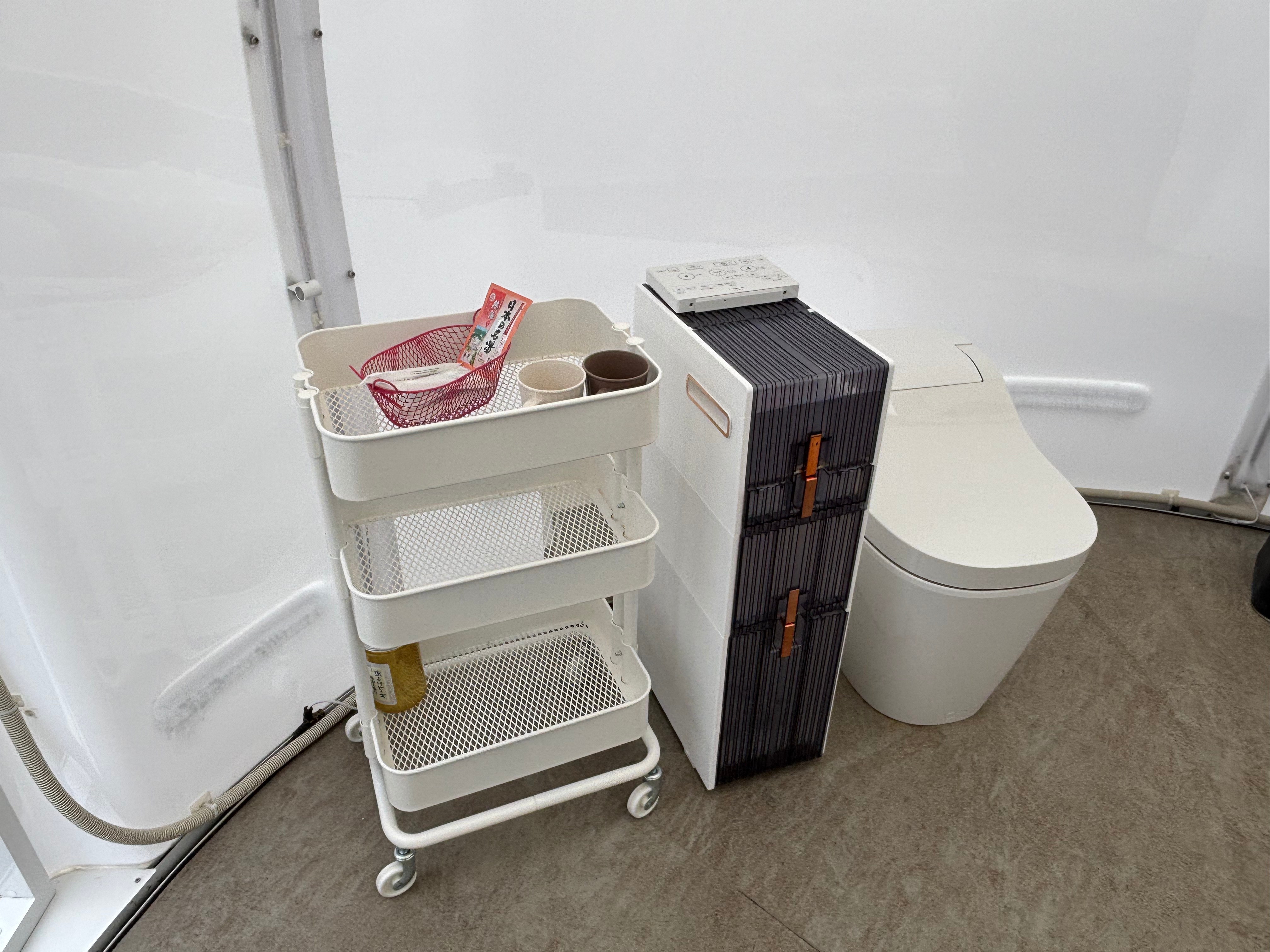 Separate bathroom shelf and washlet toilet