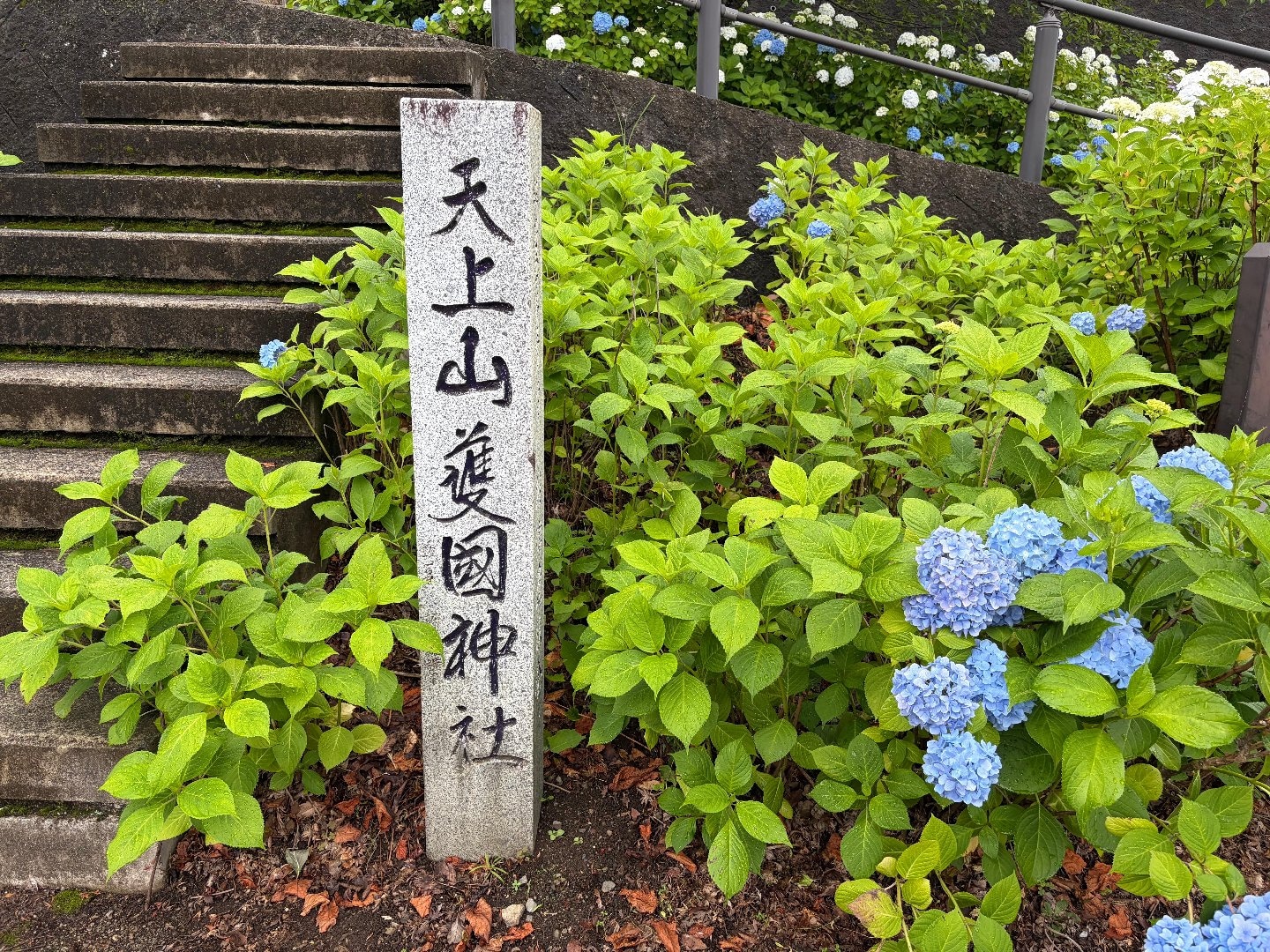 IMG_2104.jpeg