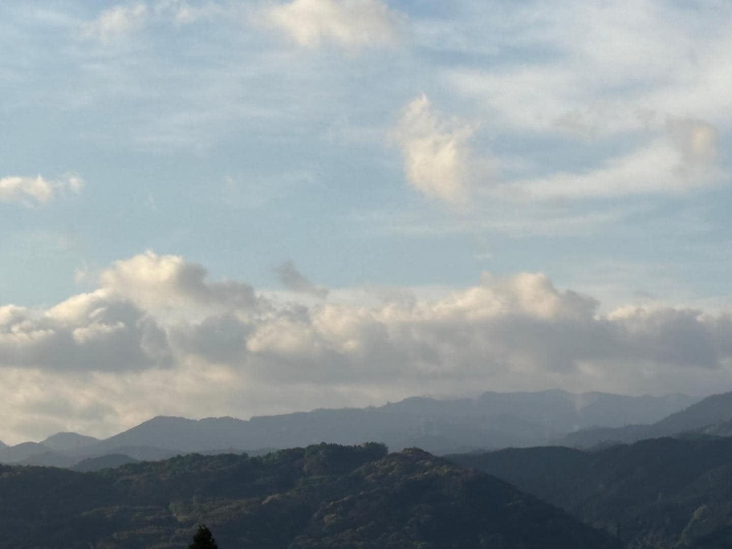 12C7AD49-0926-4EE9-A63C-D8F27CBE6F63.jpeg