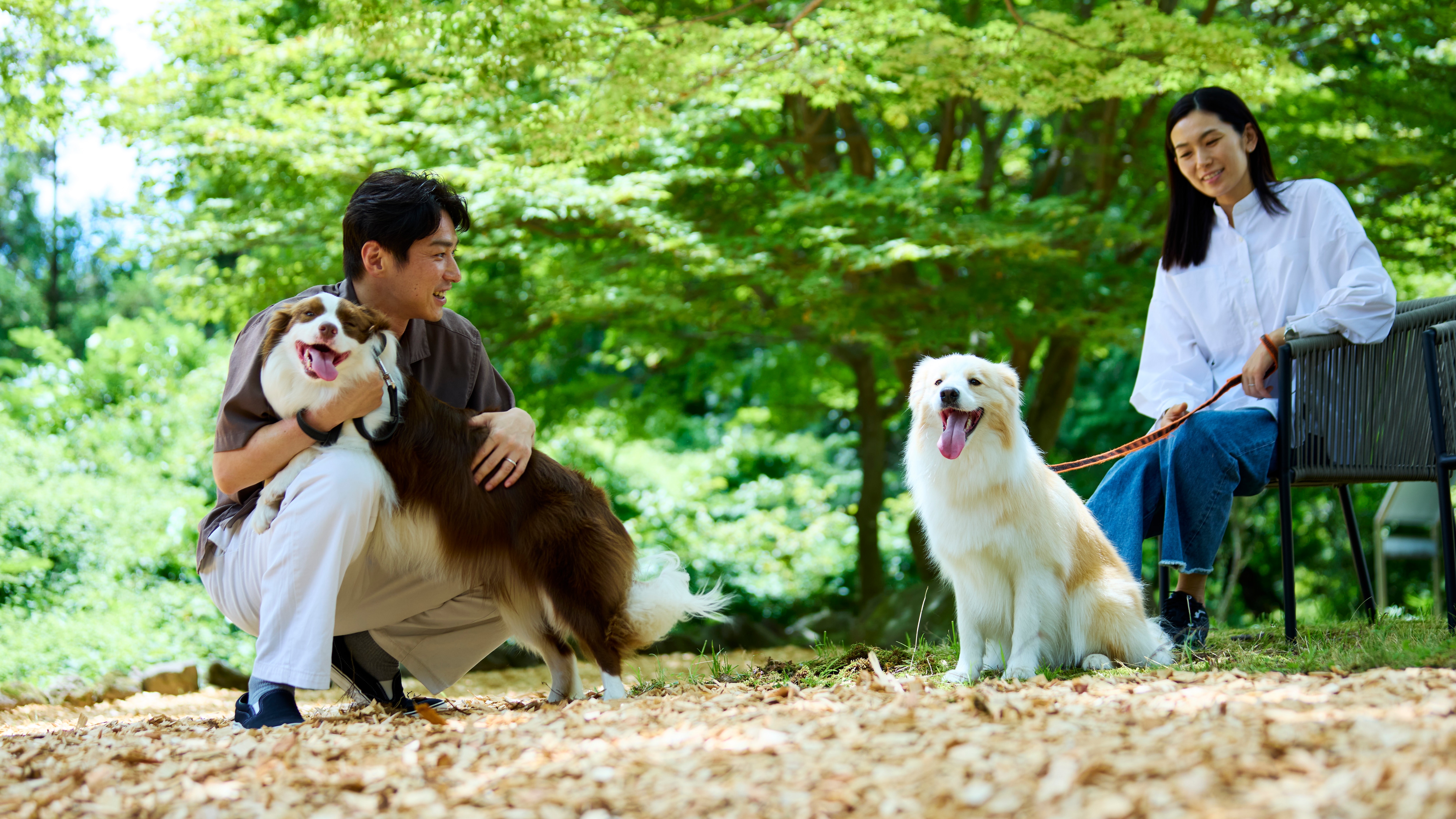 The facility boasts a variety of amenities, including a traditional Japanese-style space, a wood-chip dog run surrounded by nature, and a fire pit.