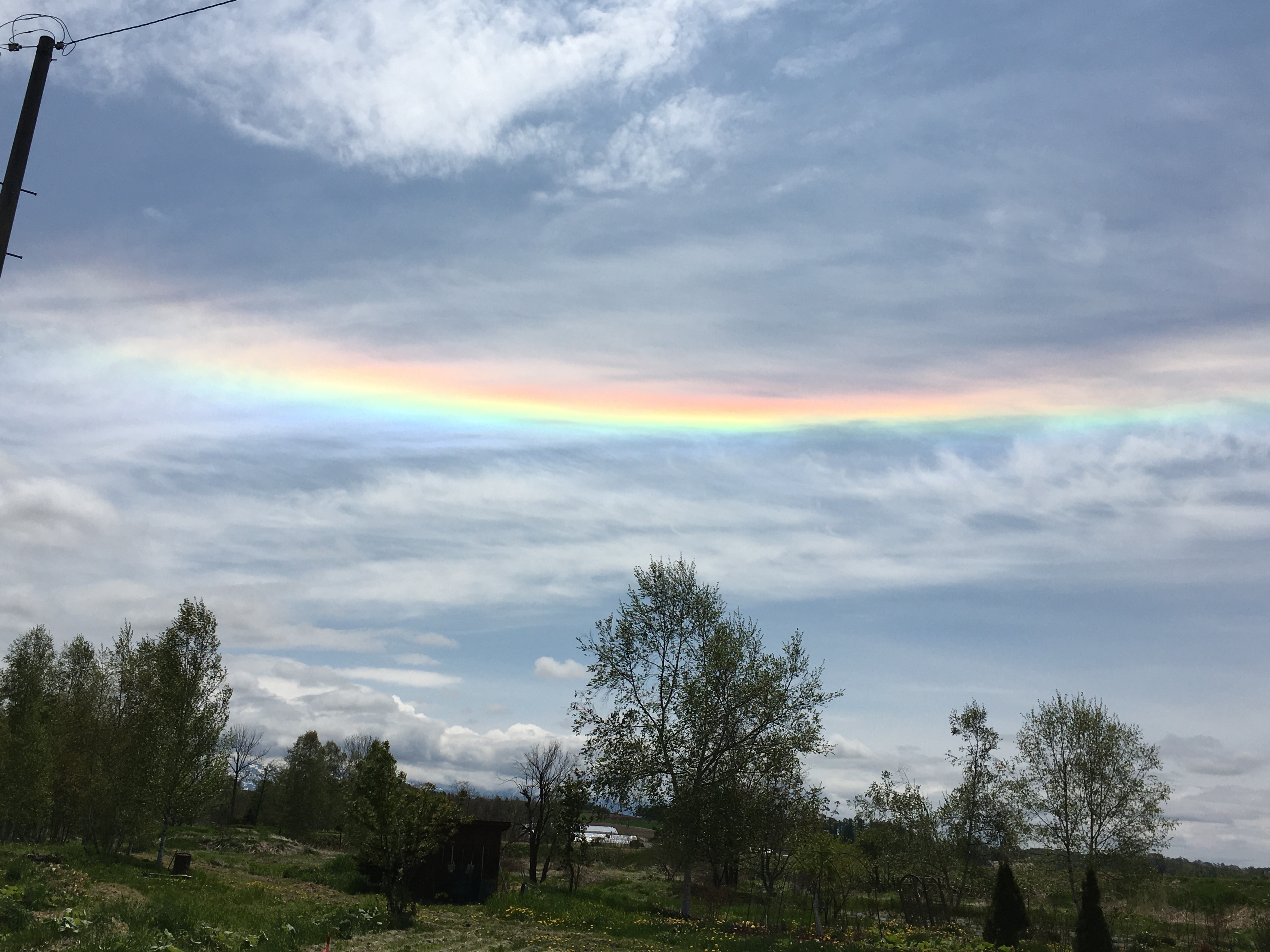 rainbow
