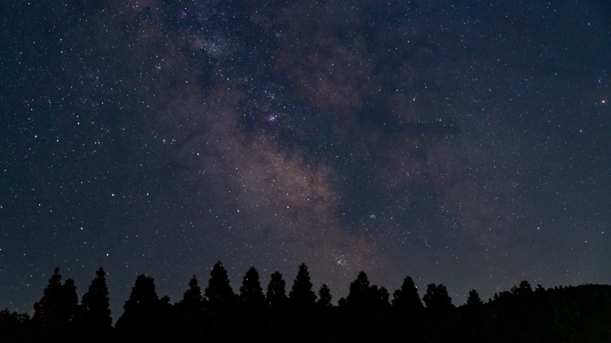 Summer stargazing party! Observe the Milky Way and the Summer Triangle♪