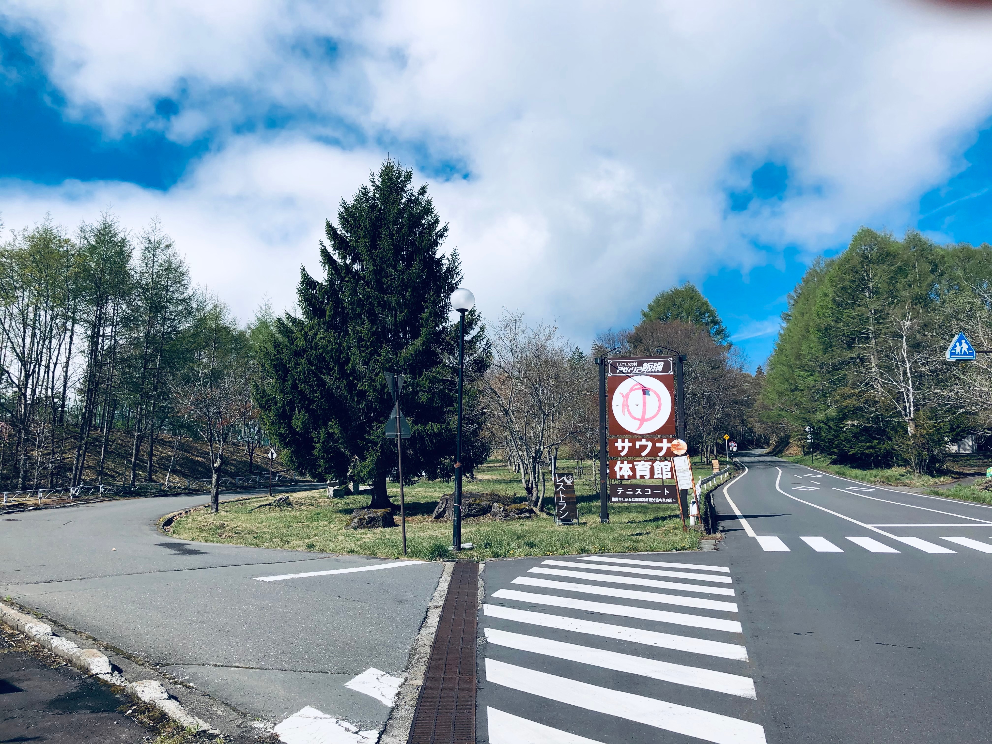 杜鵑花標誌