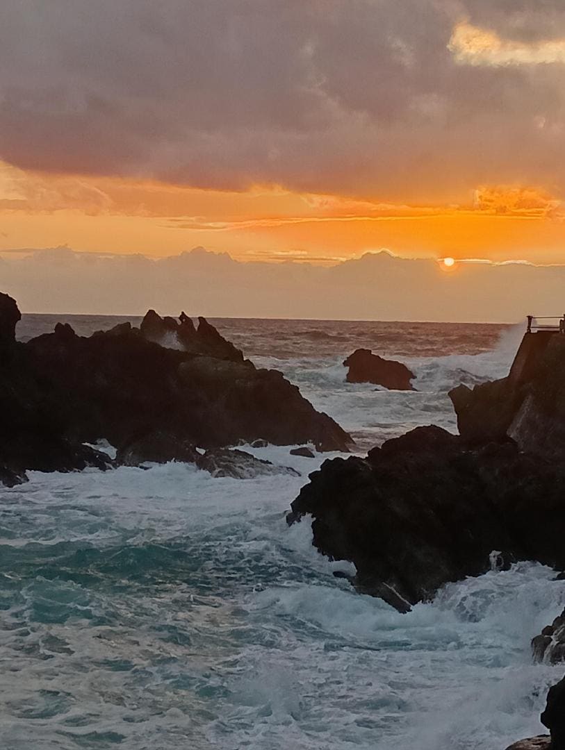 1000002219.jpg