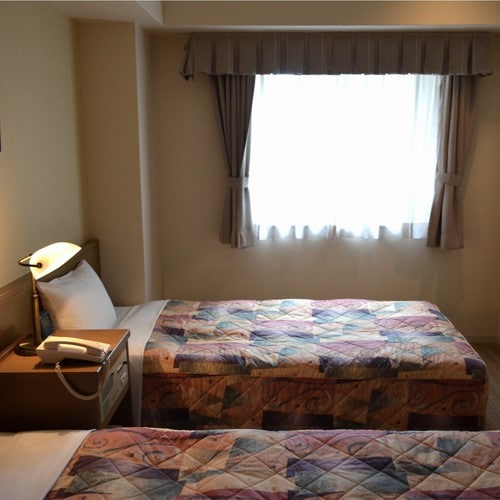 Twin room (19 square meters)