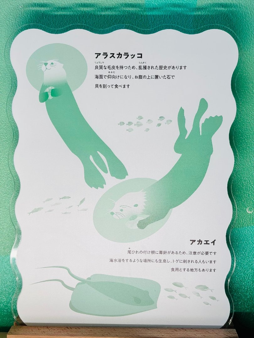 B6F5960D-9485-4A02-A765-1D2DE42A9EF9.jpeg