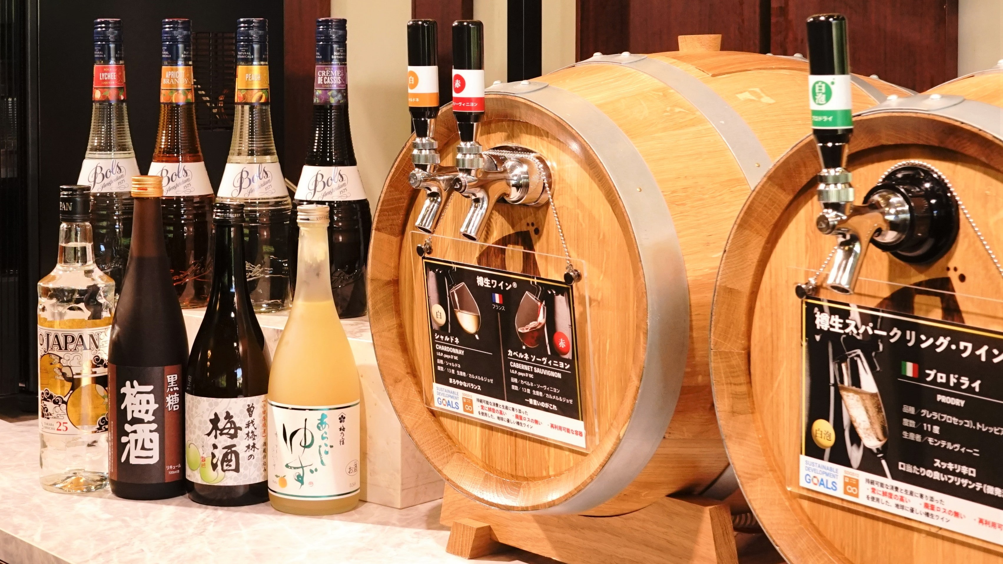 [Plan limited] All-you-can-drink plan <<Image>>