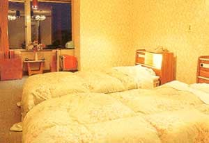 Example of guest room