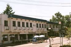 Appearance image