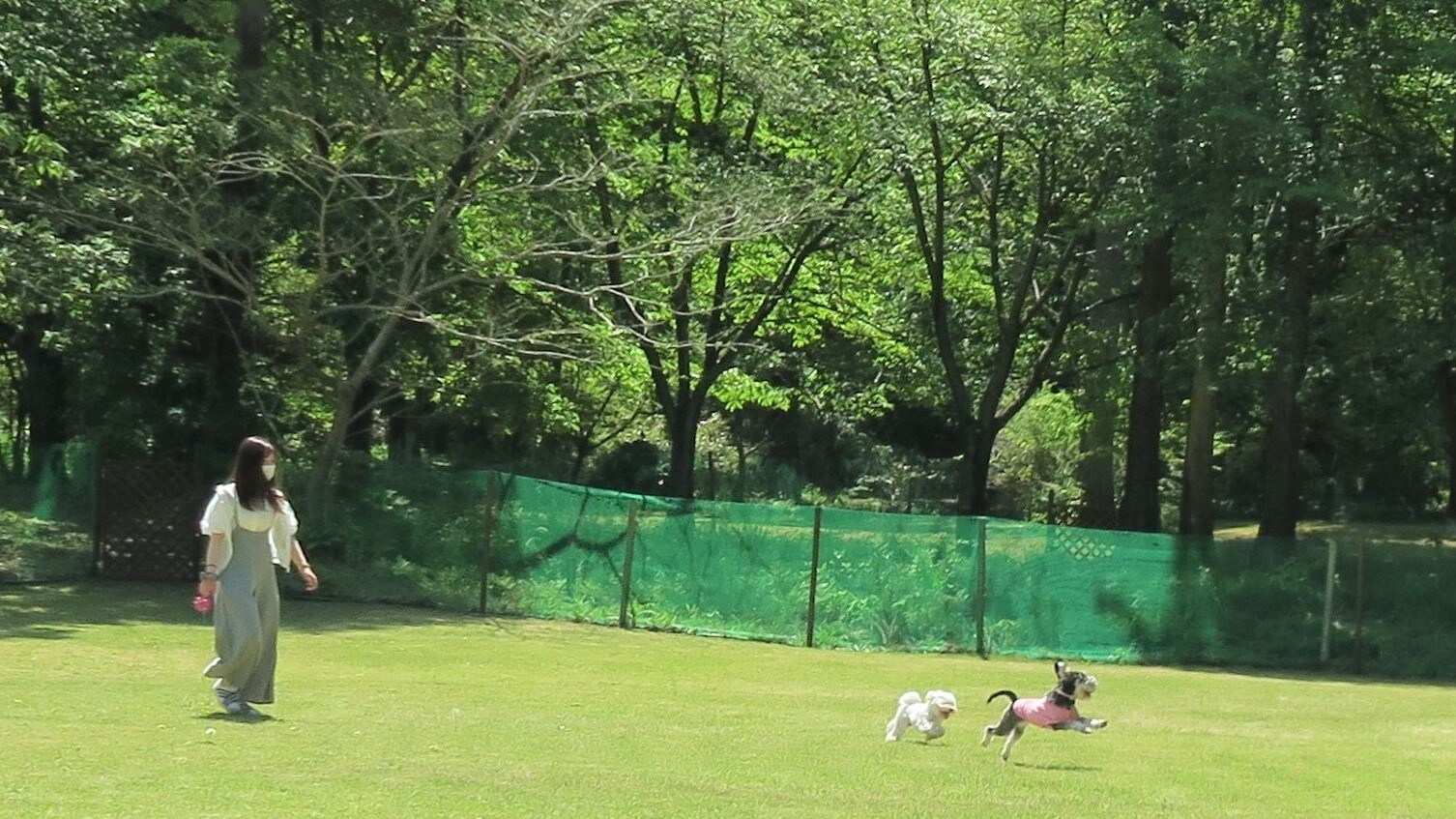 [Pet Resort College Nikko]