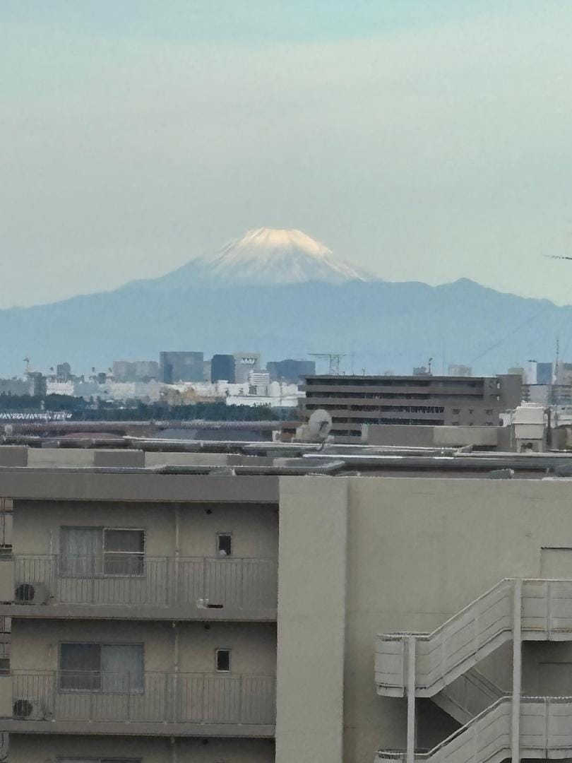 IMG_4604.jpeg