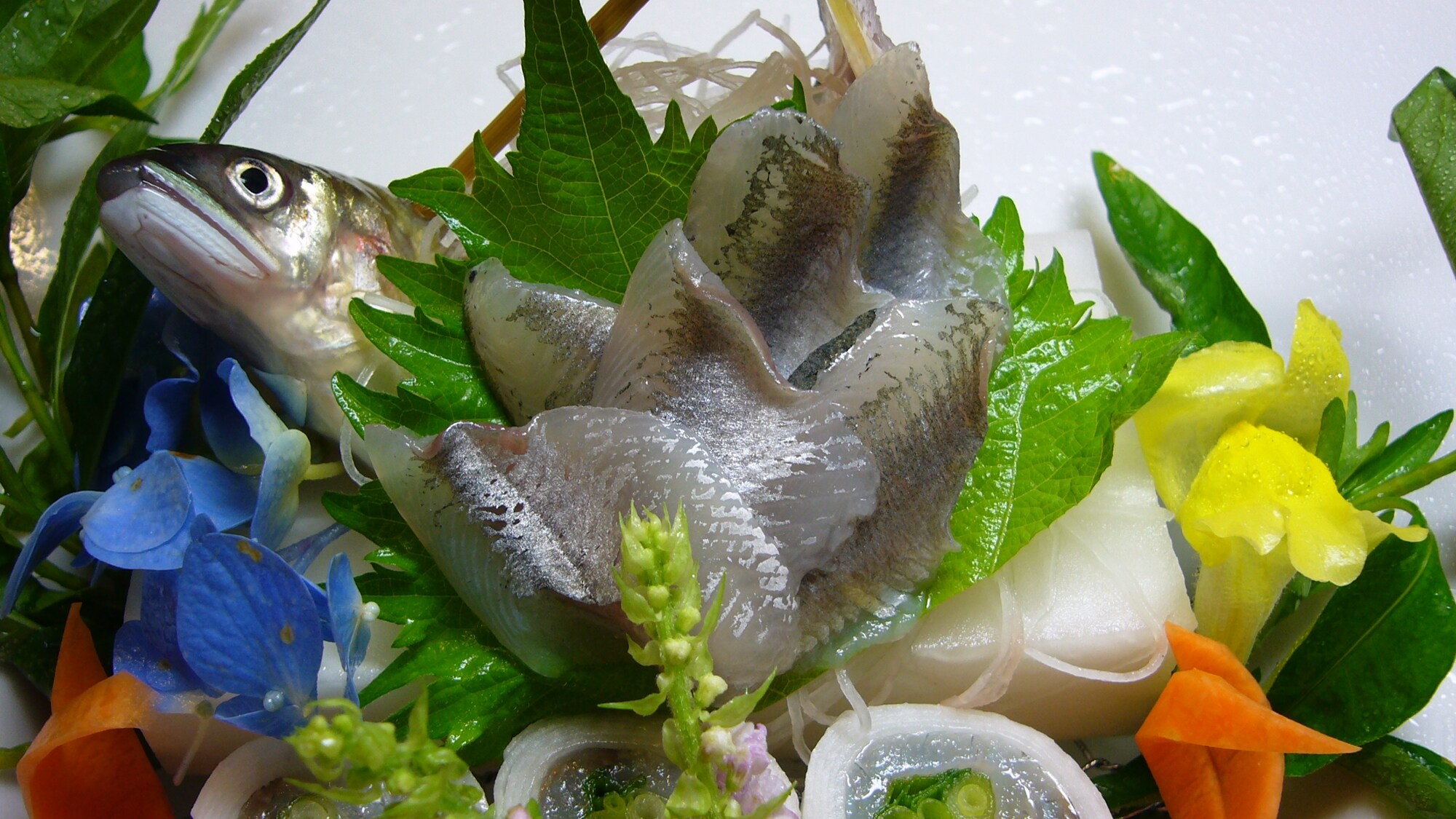 整條岩鱒魚生魚片