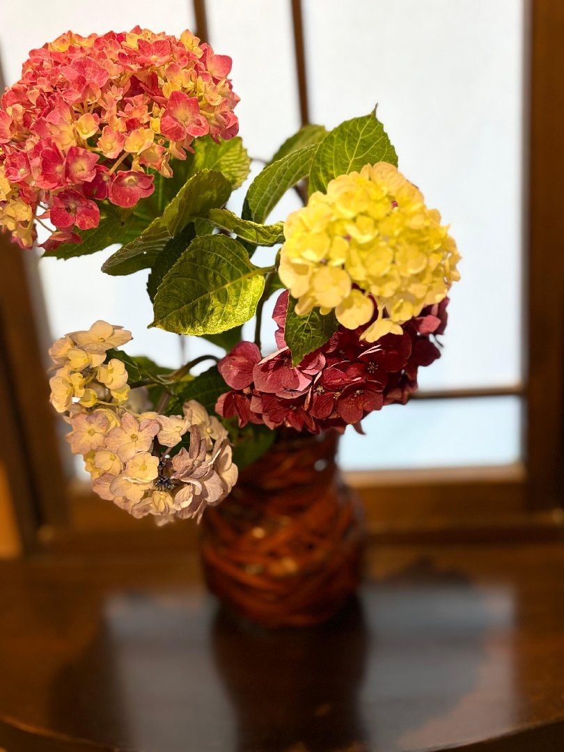 73F7C851-0F4A-430A-A011-0A4E1D02874E.jpeg