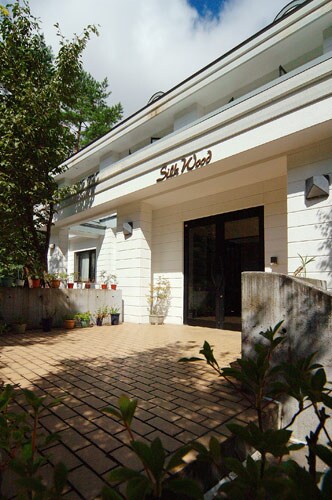 Appearance image