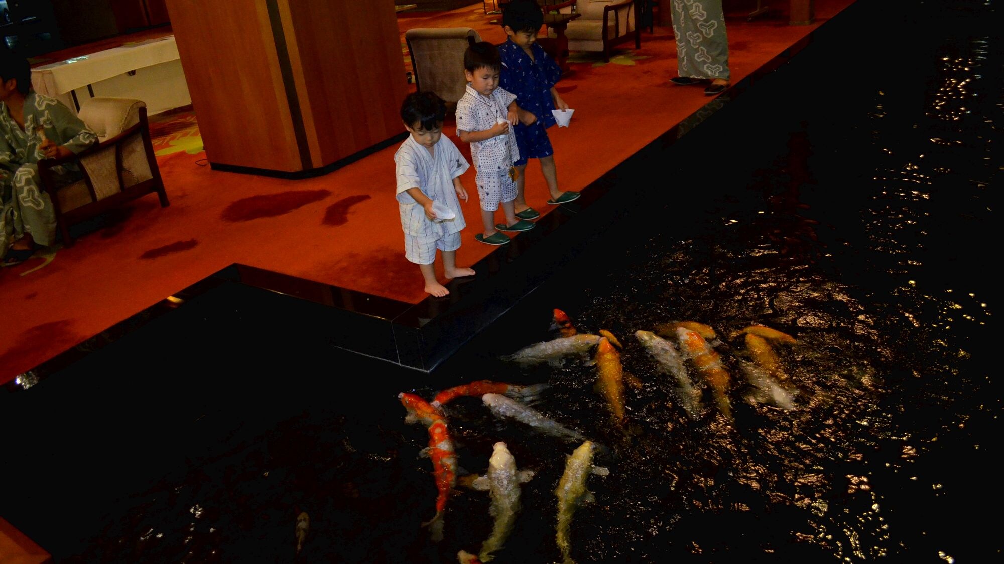 ★The carp in the lobby will come to you♪ They're so cute! *They hibernate in winter.