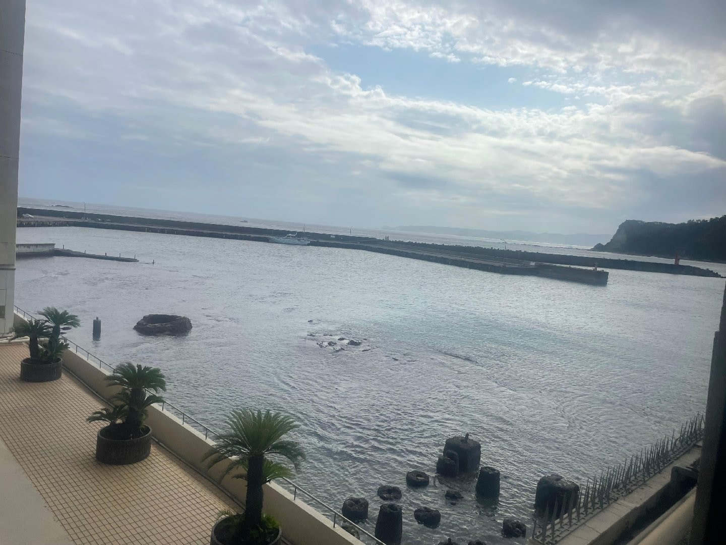 IMG_9502.jpeg