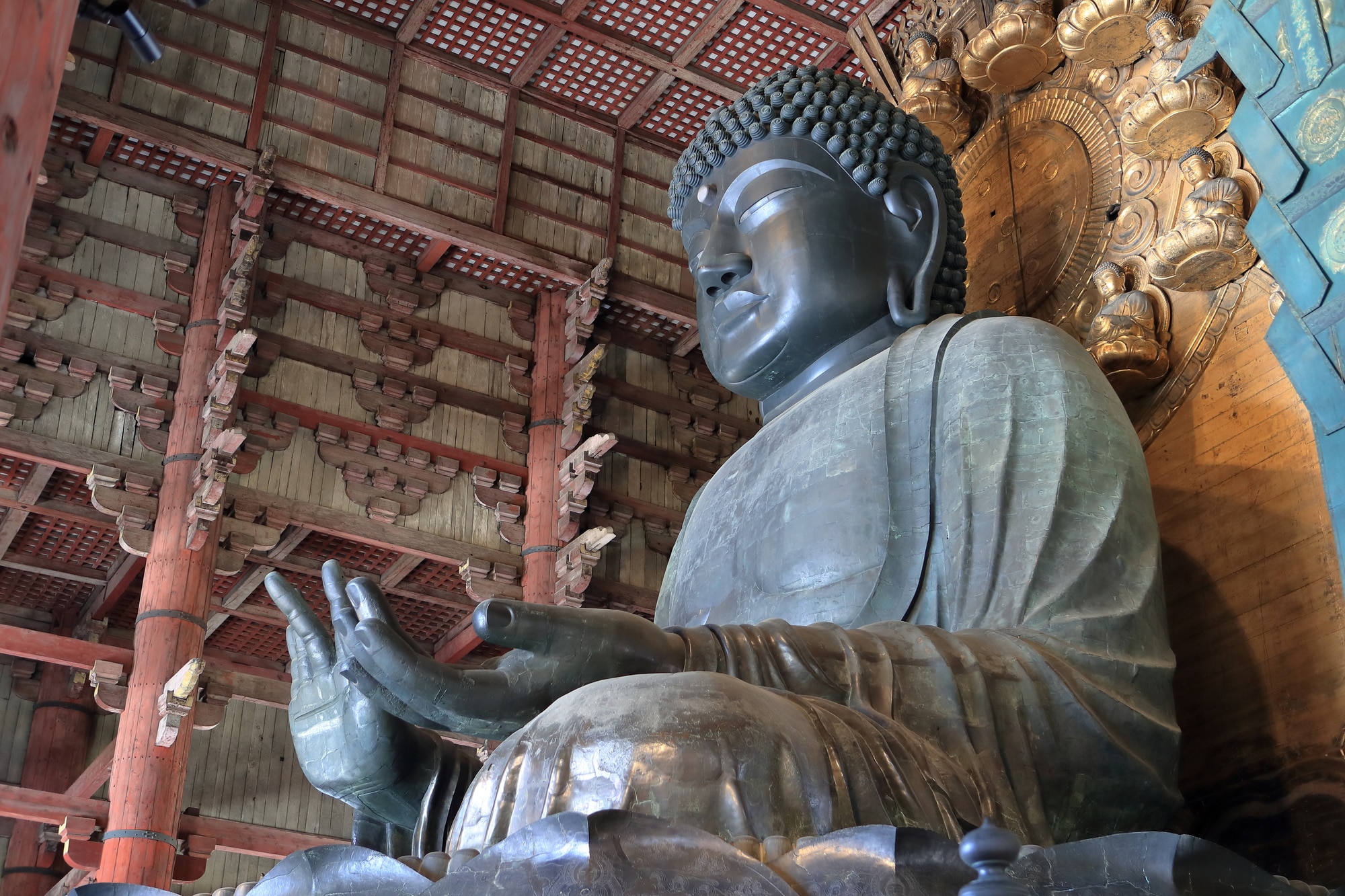 Todaiji Temple (about 15 minutes walk from the hotel)