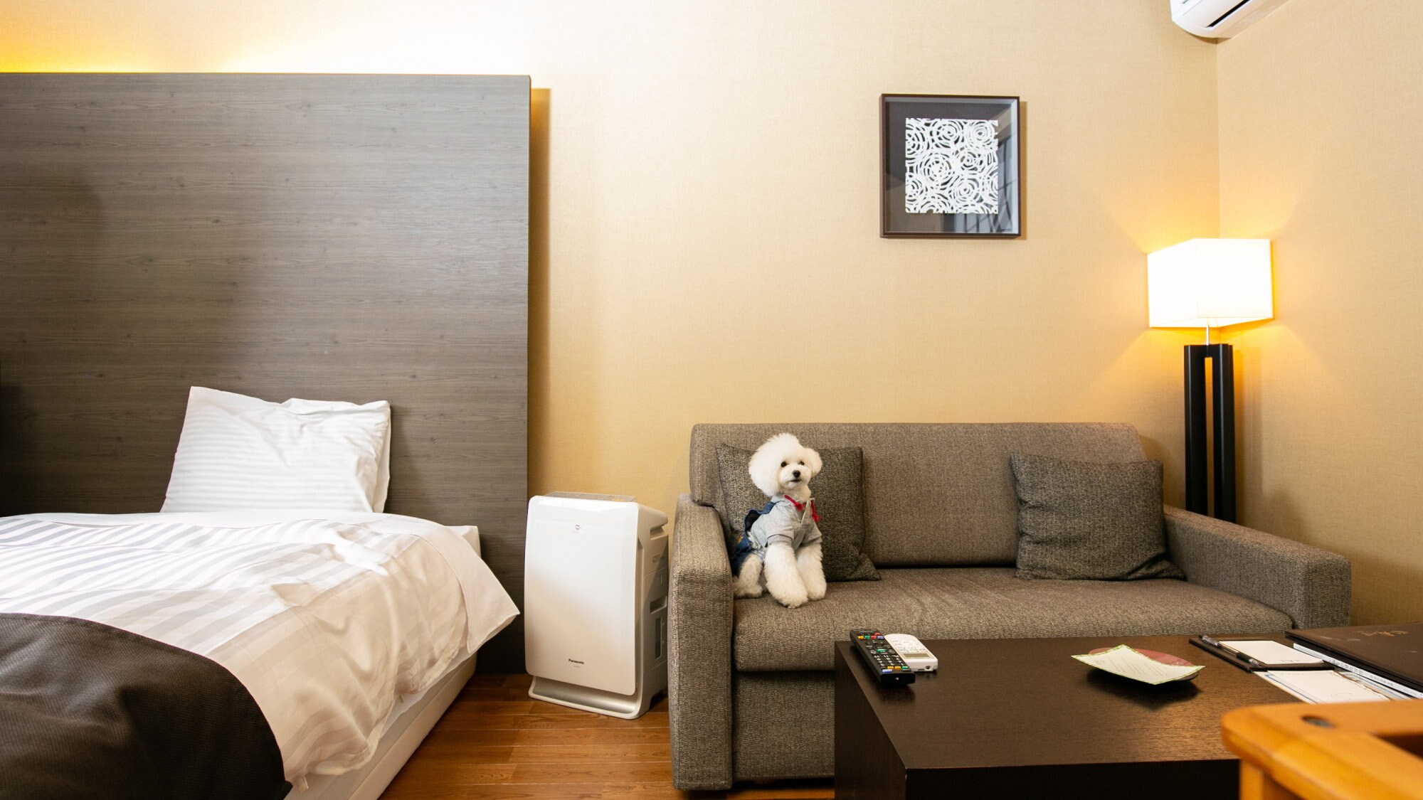 Dog-friendly guest room