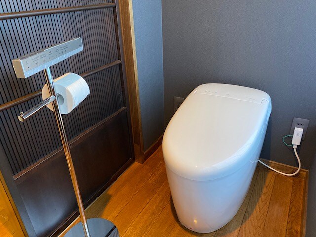 Special room toilet