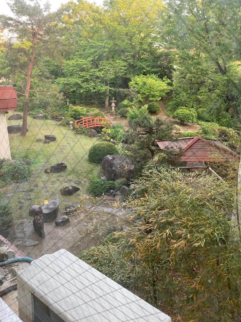 IMG_5257.jpeg