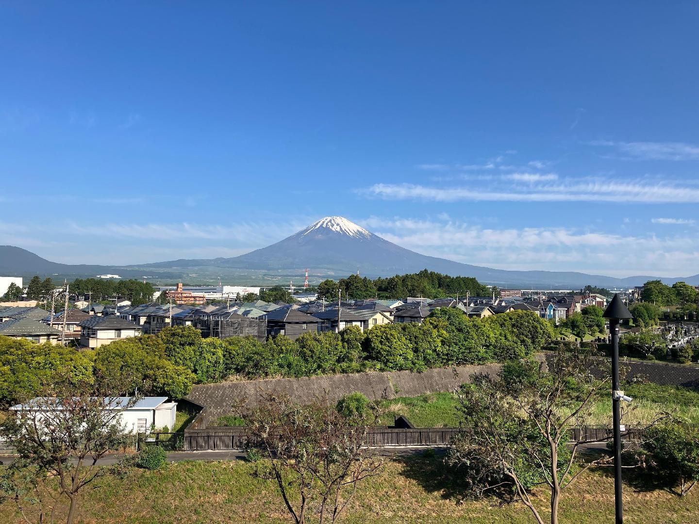 IMG_5972.jpeg