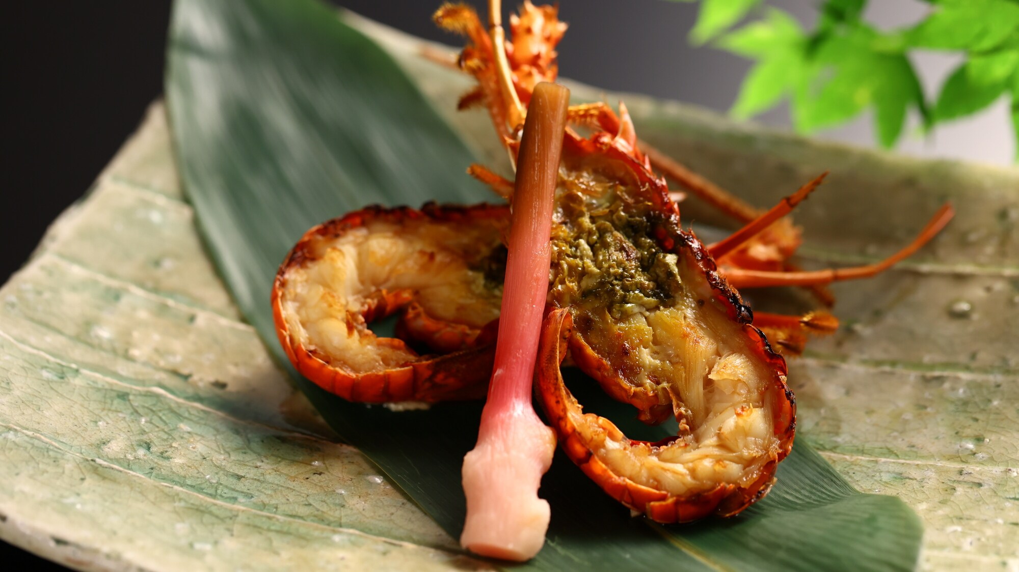 Grilled spiny lobster shell *Image for illustration purposes only